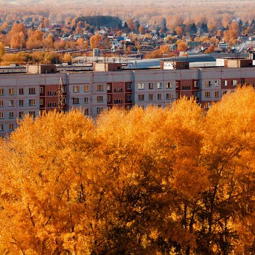 Золотая осень в городе на Оби