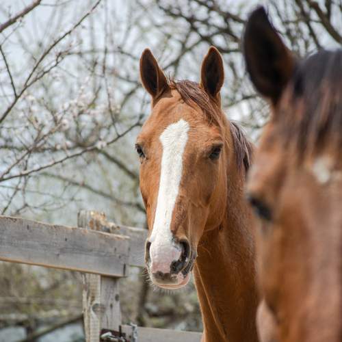 Photo #13111574