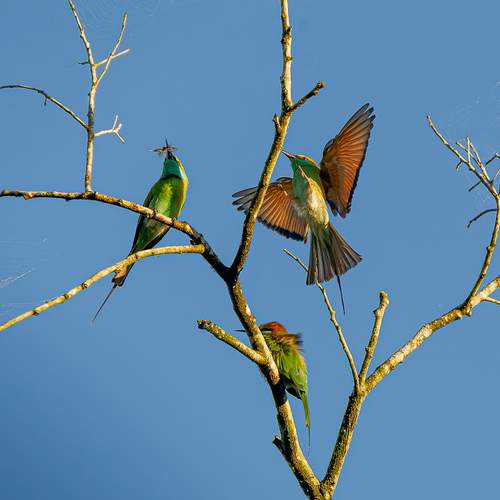 Фотография #13111612