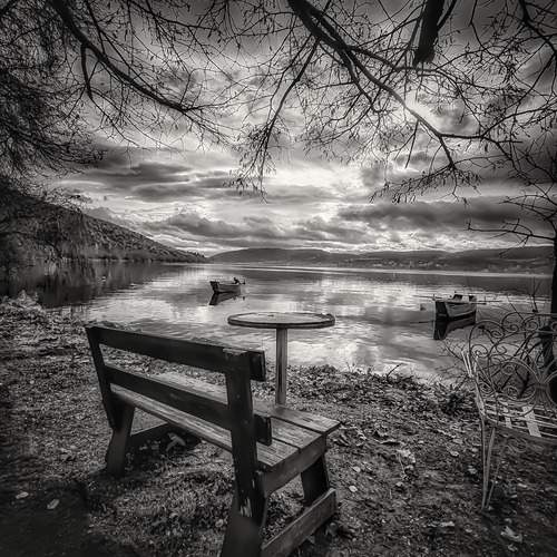 Photo #13111842