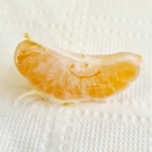 Photo #13112262