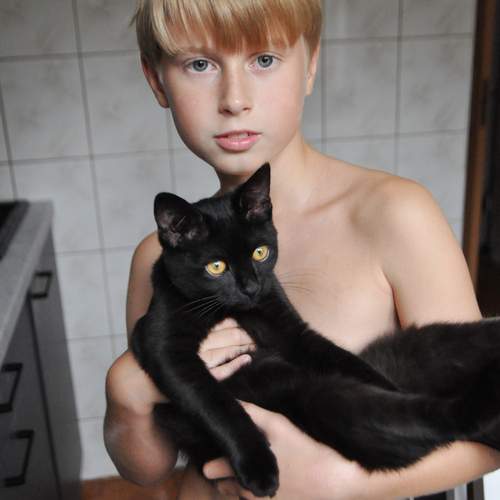 Photo #13112506