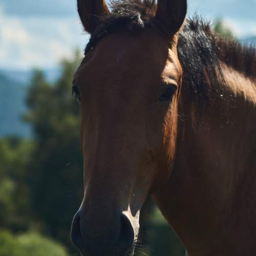 Photo #13112583