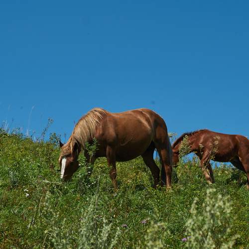 Photo #13112585