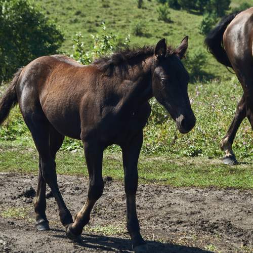 Photo #13112586