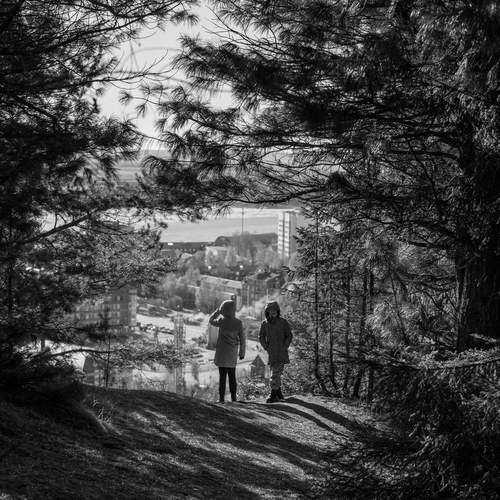 Photo #13112614