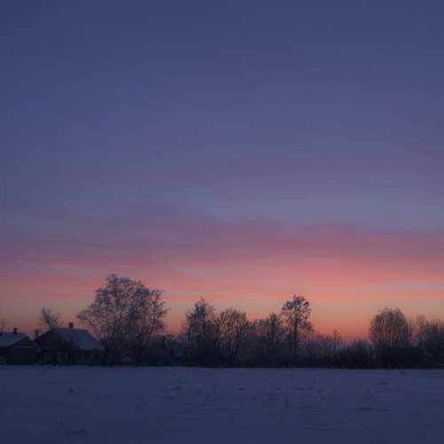 Photo #13112616