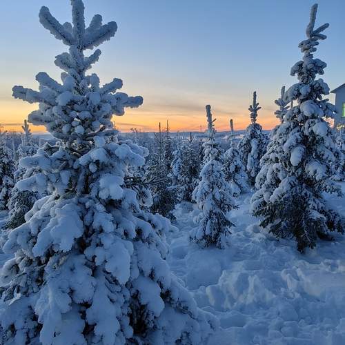 Фотография #13112741