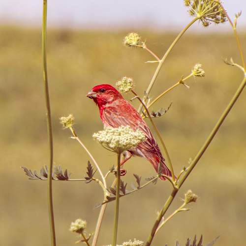 Photo #13112785