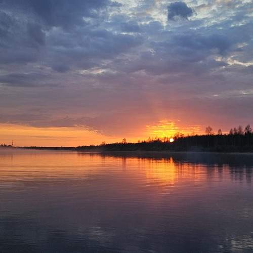 Photo #13112794