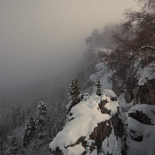 Фотография #13113026