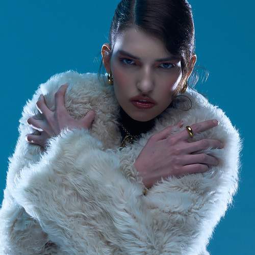 Photo #13113391