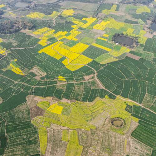 Photo #13113415