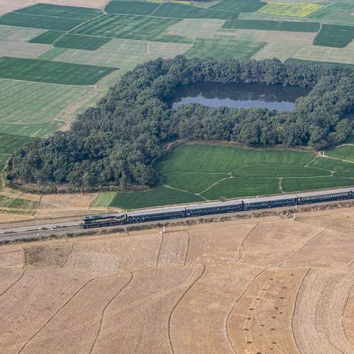Photo #13113422