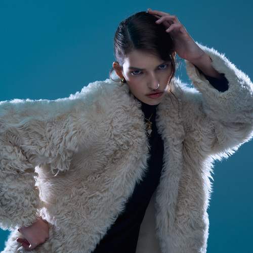 Photo #13113427