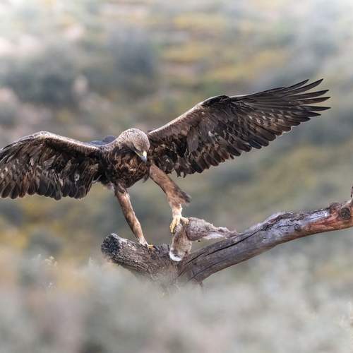 Фотография #13113453