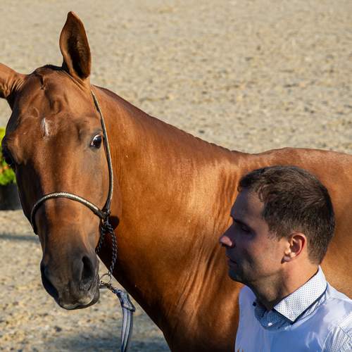 Photo #13113530