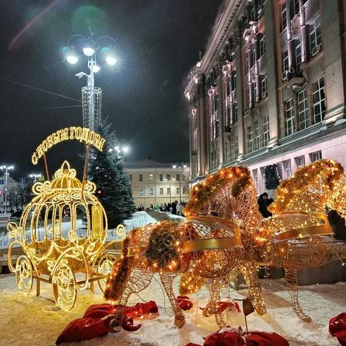 Photo #13113582