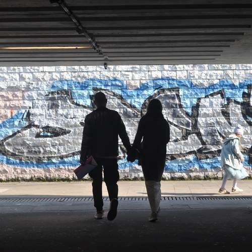 Photo #13113605