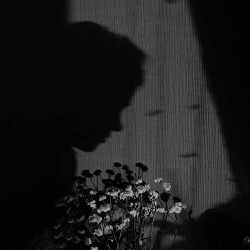 Photo #13113609