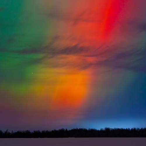 Фотография #13113658