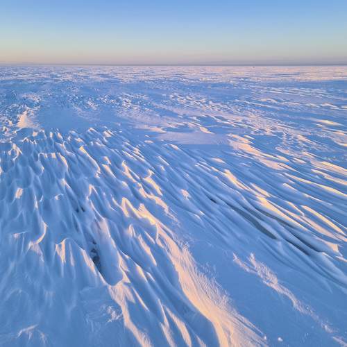 Photo #13113697