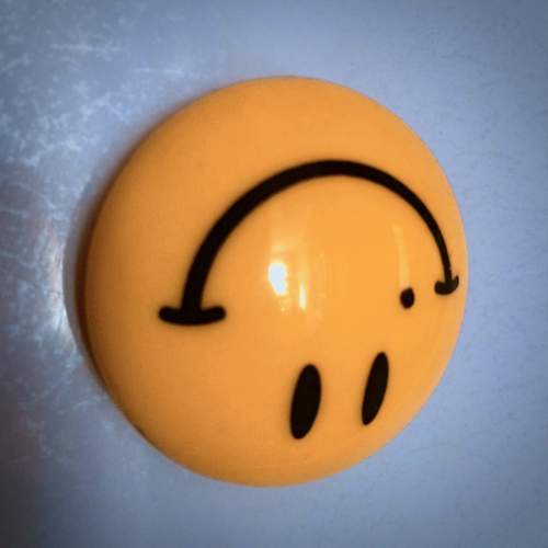 Photo #13113781