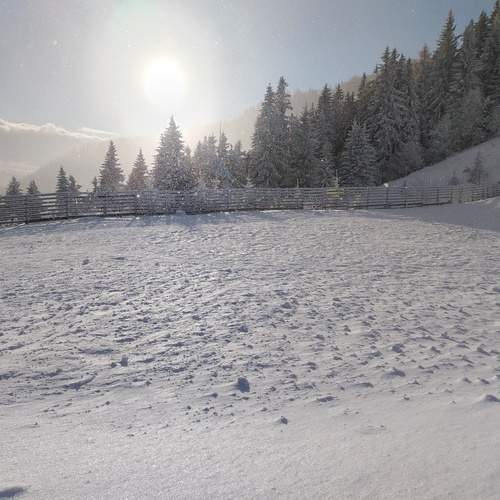 Photo #13113837