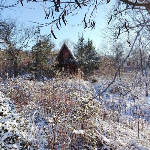 Photo #13113849