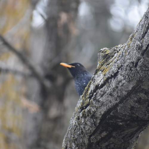 Photo #13113852