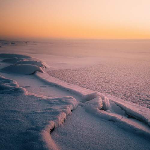 Фотография #13113880