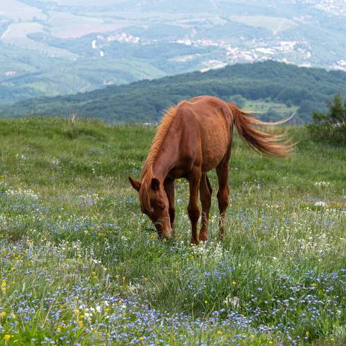 Photo #13113966