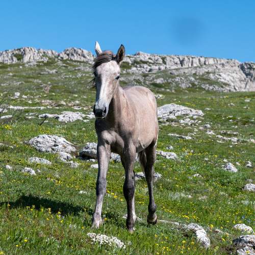 Photo #13113967
