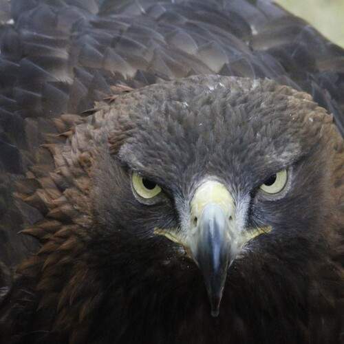 Photo #13113988