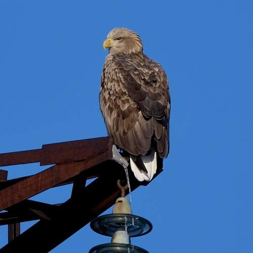 Photo #13114000