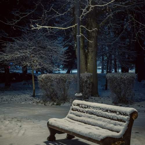 Photo #13114018