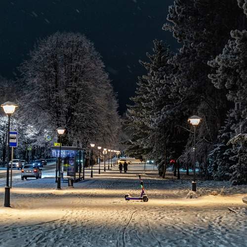 Photo #13114087
