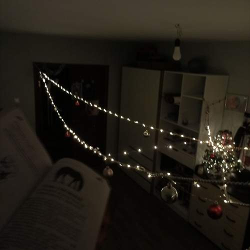 Photo #13114129