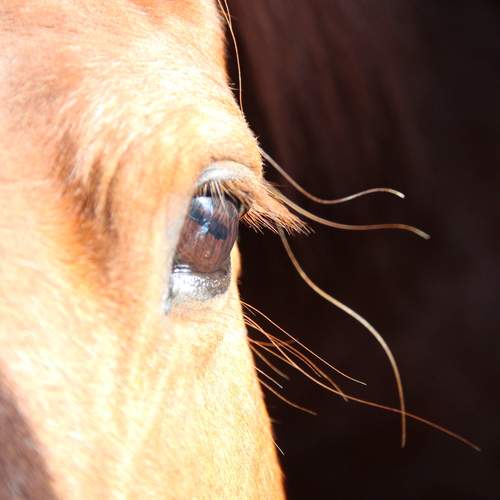 Разумный взгляд