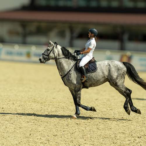 Photo #13114154