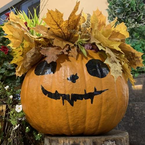 Photo #13114254