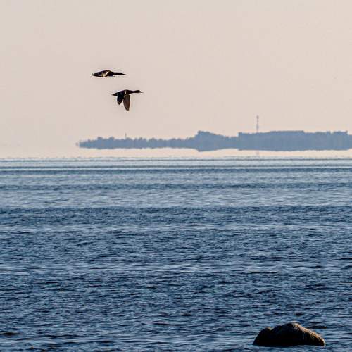 Photo #13114270