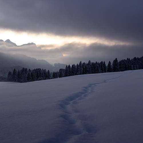 Photo #13114379