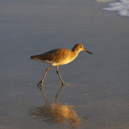 Фотография #13114397