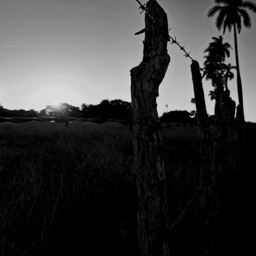 Horizonte