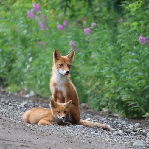 Photo #13114666