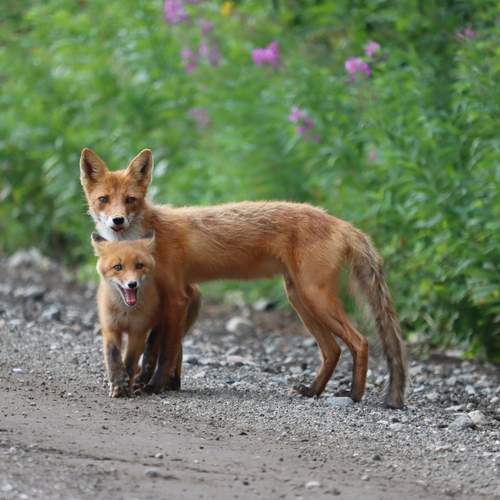 Photo #13114667