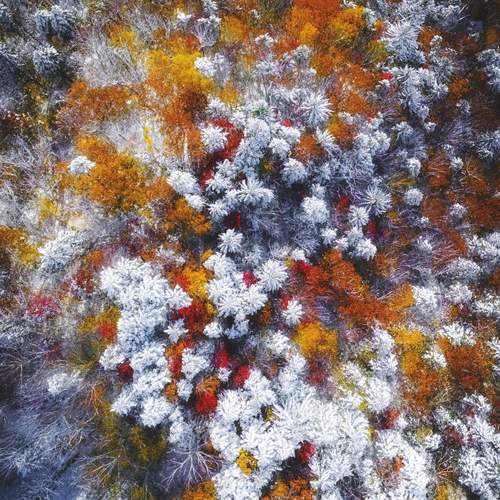 Photo #13114703