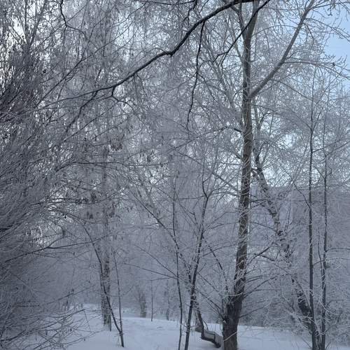 Photo #13114706