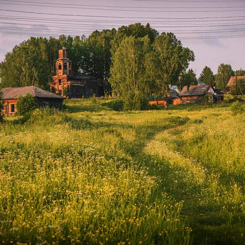 Photo #13114726